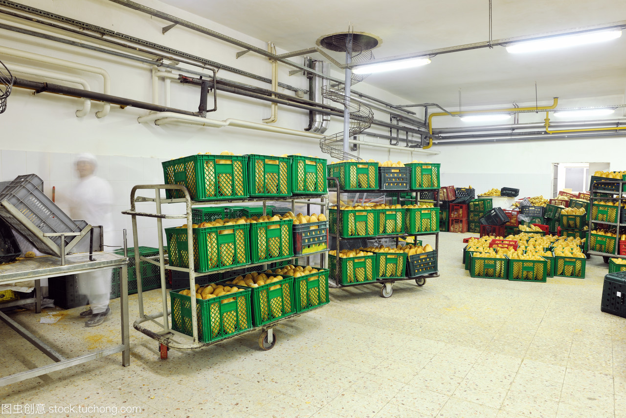 从田野到餐桌 谷物种植如何驱动现代食品制造业的崛起