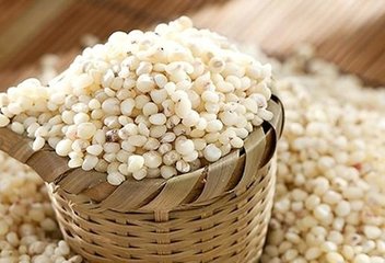 固原市原州区浩宇种植农民专业合作社 多元化高粱种植，守护谷物生产多样性