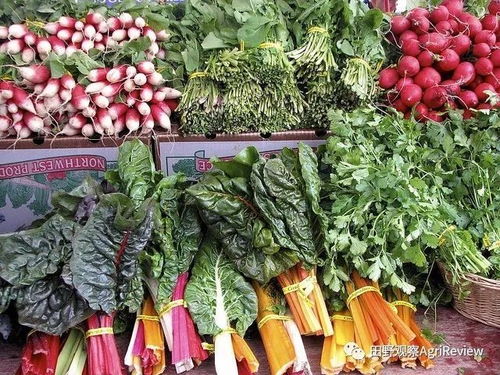 一年回本？有机模式可行？揭秘Eataly新版