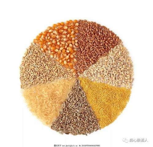 谷物、水果与薯干 酿酒原料的风味之争与谷物种植根基